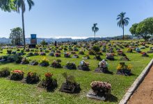 Photo of Audiência Pública tratará sobre concessão do cemitério Jardim do Éden