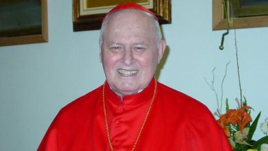 Photo of Cardeal brasileiro já teve votos suficientes para ser papa, mas recusou