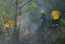 Photo of Tempo seco gera preocupação com incêndios em vegetação no estado