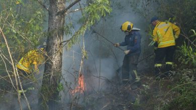 Photo of Tempo seco gera preocupação com incêndios em vegetação no estado