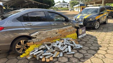 Photo of PRF apreende 221 kg de maconha e recupera carro roubado que fugiu da abordagem