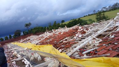 Photo of Prefeitura e Defesa Civil de Chapecó atuam para recuperar estragos causados por temporal