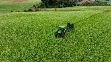 Photo of Santa Catarina investe em agricultura sustentável com distribuição de kits para cobertura vegetal