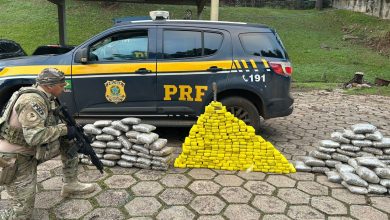 Photo of PRF apreende quase 200 quilos de drogas e recupera veículo roubado na BR-282