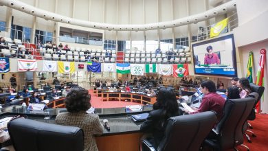 Photo of Deputados jovens aprovam incluir manguezais em áreas de interesse ecológico