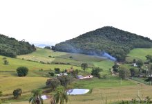 Photo of Com incentivo do Governo do Estado, produtor catarinense pode ter financiamento com juro zero no Plano Safra