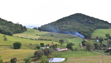 Photo of Com incentivo do Governo do Estado, produtor catarinense pode ter financiamento com juro zero no Plano Safra