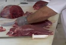 Photo of EUA mantêm tarifaço à carne brasileira com o menor rebanho em meio século