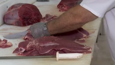Photo of EUA mantêm tarifaço à carne brasileira com o menor rebanho em meio século
