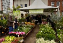 Photo of Feira de Mudas é aberta em Chapecó