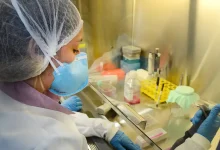 Photo of USP: pesquisa de vacina contra zika avança em testes com camundongos