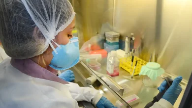 Photo of USP: pesquisa de vacina contra zika avança em testes com camundongos