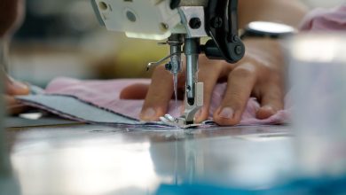 Photo of Economia criativa gera 180 mil empregos em SC e registra crescimento de 30%