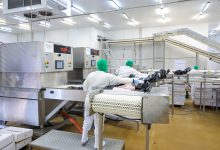 Photo of Sine oferece mais de 9 mil vagas de emprego em Santa Catarina