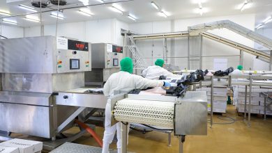 Photo of Sine oferece mais de 9 mil vagas de emprego em Santa Catarina