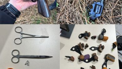 Photo of Polícia apreende arma de fogo, munições e equipamentos ilegais de rinha de galo