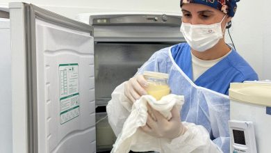 Photo of Santa Catarina se destaca pelo padrão ouro em Bancos de Leite Humano