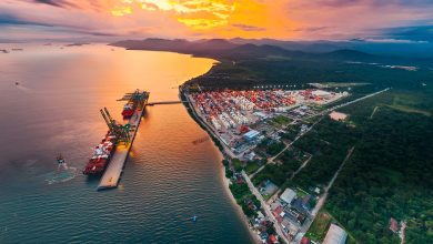 Photo of Exportações de SC têm alta de 3% em julho