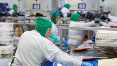 Photo of SC tem taxa de desemprego menor do que todos os países do G7