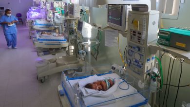 Photo of SC chega a marca de 291 leitos de UTI abertos desde 2023