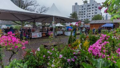 Photo of Feira de Mudas acontece até domingo em Chapecó