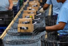 Photo of SC lidera crescimento da atividade econômica no país com alta de 5,5%