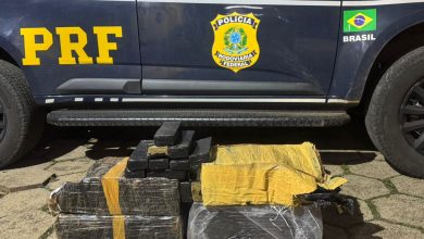 Photo of Casal é preso com 60 quilos de maconha em Chapecó