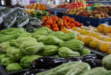 Photo of SC tem a maior proporção de domicílios com Segurança Alimentar do país