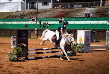 Photo of Efapi do Brasil: Orgulho e paixão pelo hipismo estiveram presente nas competições