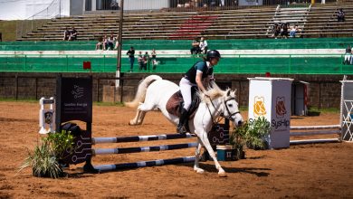 Photo of Efapi do Brasil: Orgulho e paixão pelo hipismo estiveram presente nas competições