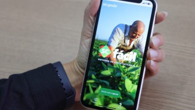 Photo of SC Fácil reúne 530 serviços do Estado em um mês de funcionamento