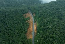 Photo of Governo do Estado avança na construção de áreas de escape para mais segurança na Serra Dona Francisca