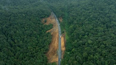 Photo of Governo do Estado avança na construção de áreas de escape para mais segurança na Serra Dona Francisca