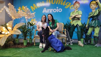 Photo of Efapi do Brasil é pet friendly e garante espaço acolhedor também para os animais de estimação