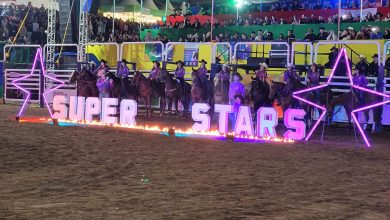 Photo of Rodeio da Efapi do Brasil consagra campeões e encerra a feira com emoção e casa cheia