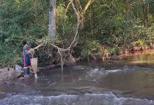 Photo of Pesquisa sobre Lajeado São José é selecionada para enciclopédia de boas práticas da COP-30
