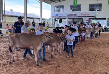 Photo of Efapi do Brasil traz pela primeira vez Clube da Bezerra à feira