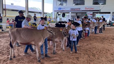 Photo of Efapi do Brasil traz pela primeira vez Clube da Bezerra à feira