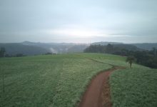 Photo of Com mais de 2,3 mil kits entregues, Solo Saudável impulsiona produtividade e preserva a terra