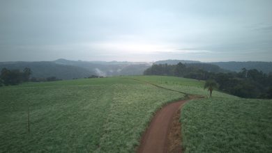 Photo of Com mais de 2,3 mil kits entregues, Solo Saudável impulsiona produtividade e preserva a terra